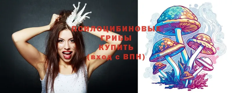 купить закладку  Верхний Тагил  Галлюциногенные грибы Psilocybe 